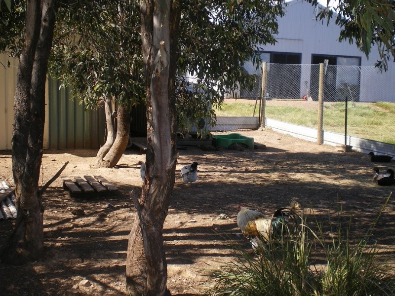 2498 Shannons Flat Rd, Cooma NSW 2630