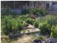 2498 Shannons Flat Rd, Cooma NSW 2630