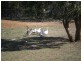 2498 Shannons Flat Rd, Cooma NSW 2630