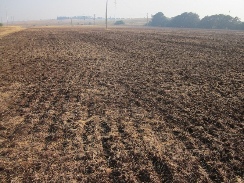 Lot 3 Ironmungie Rd, Maffra NSW 2630