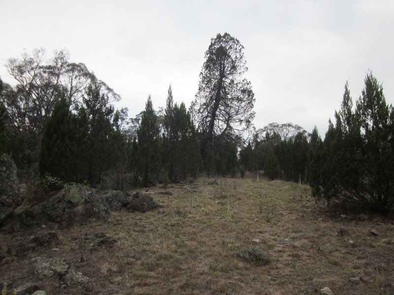 Lot 3 Ironmungie Rd, Maffra NSW 2630