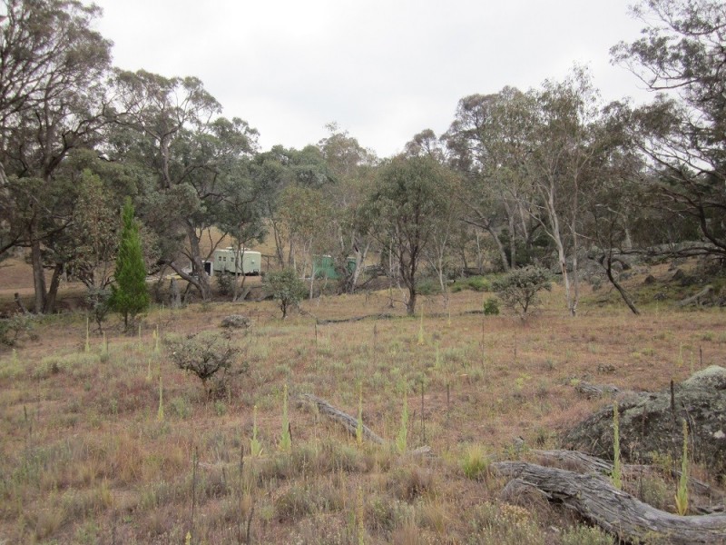 Lot 3 Ironmungie Rd, Maffra NSW 2630
