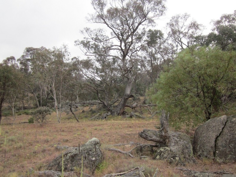 Lot 3 Ironmungie Rd, Maffra NSW 2630