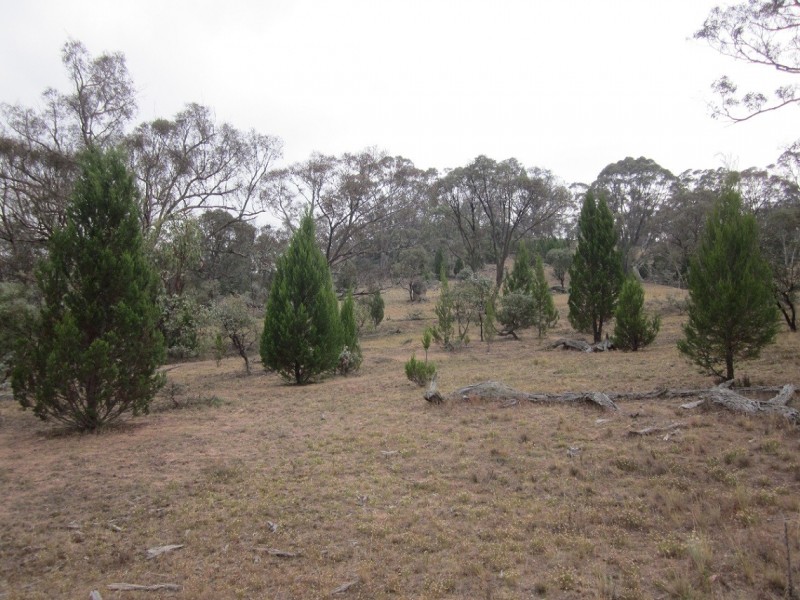 Lot 3 Ironmungie Rd, Maffra NSW 2630
