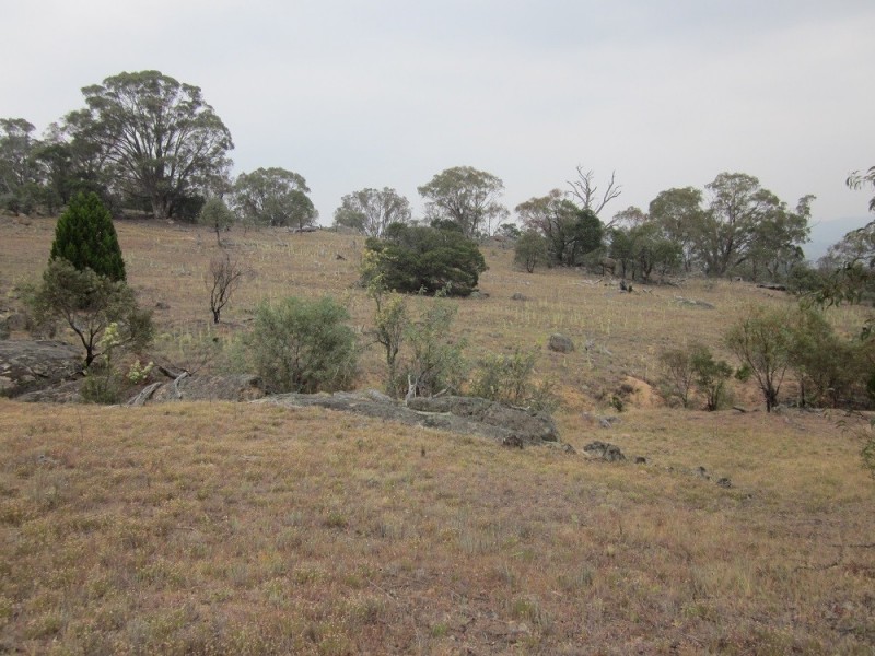 Lot 3 Ironmungie Rd, Maffra NSW 2630
