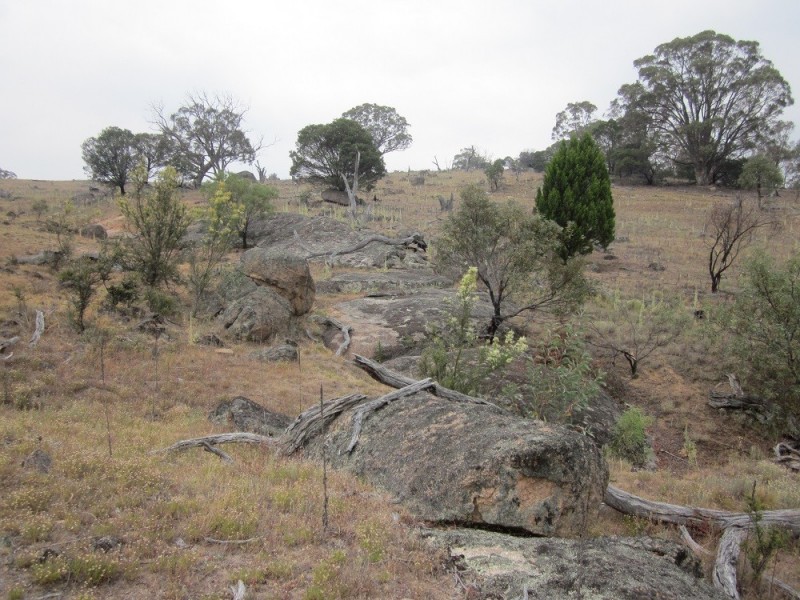 Lot 3 Ironmungie Rd, Maffra NSW 2630