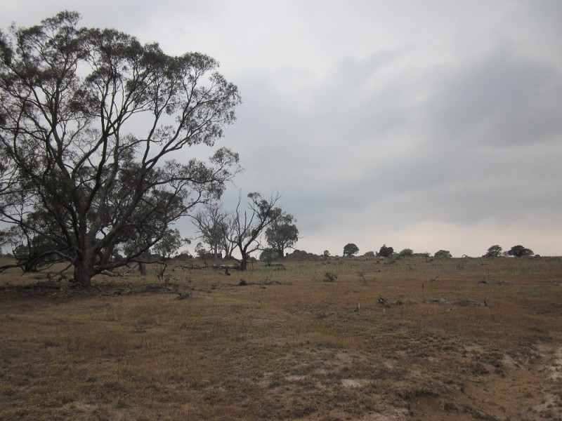 Lot 3 Ironmungie Rd, Maffra NSW 2630