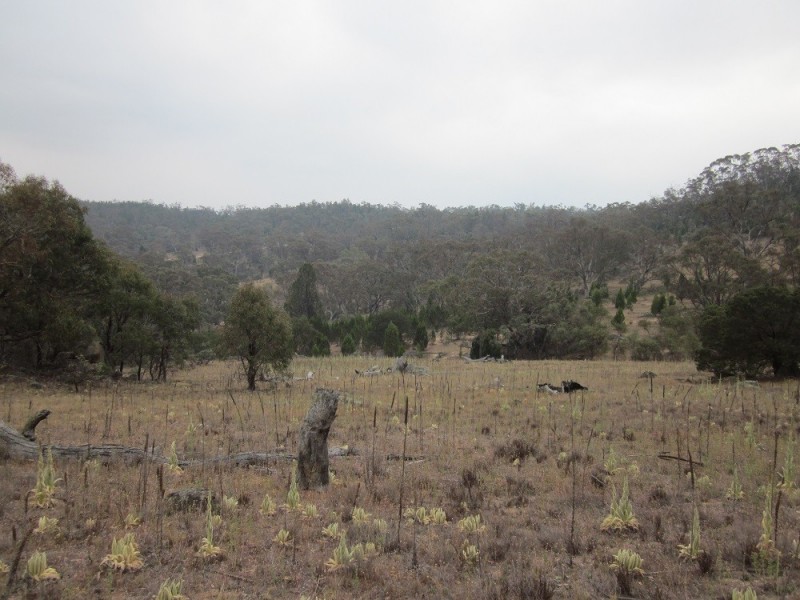 Lot 3 Ironmungie Rd, Maffra NSW 2630