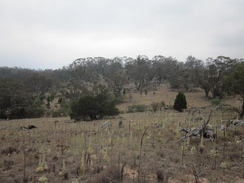 Lot 3 Ironmungie Rd, Maffra NSW 2630