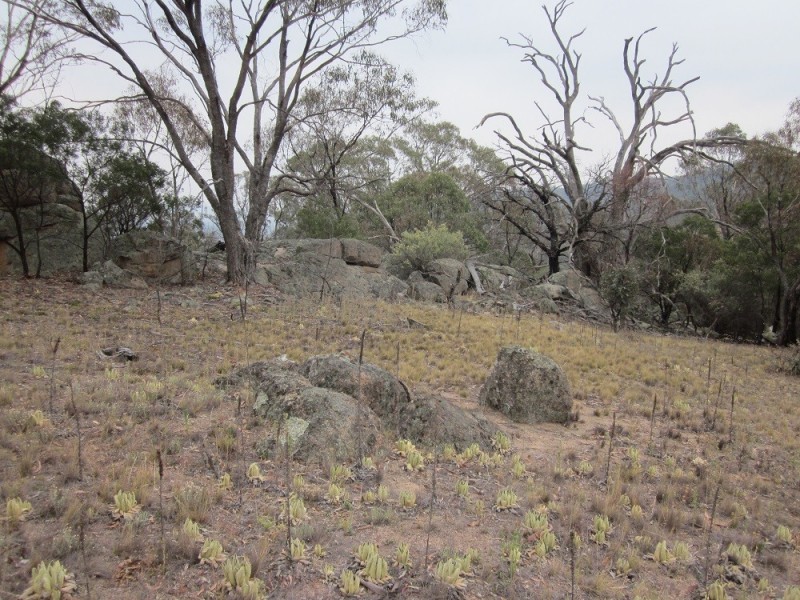 Lot 3 Ironmungie Rd, Maffra NSW 2630