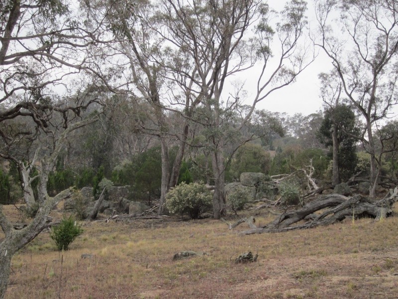Lot 3 Ironmungie Rd, Maffra NSW 2630