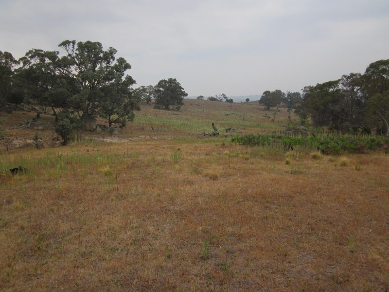Lot 3 Ironmungie Rd, Maffra NSW 2630