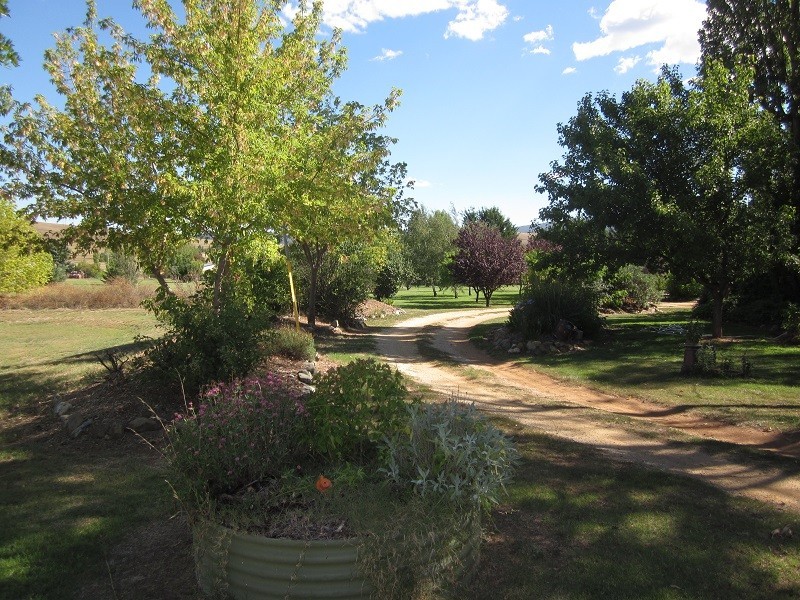 2 Ovens St, Bredbo NSW 2626