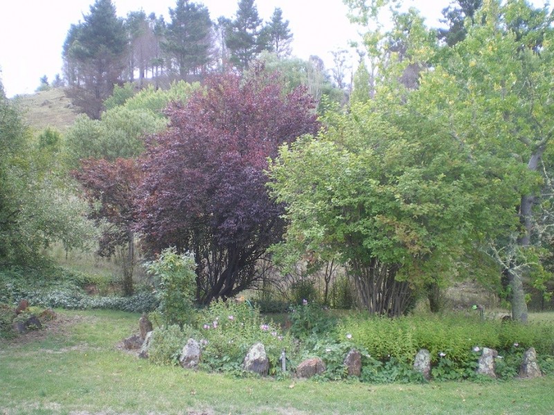 . “Gurubang” Mt Forest Rd, Cooma NSW 2630