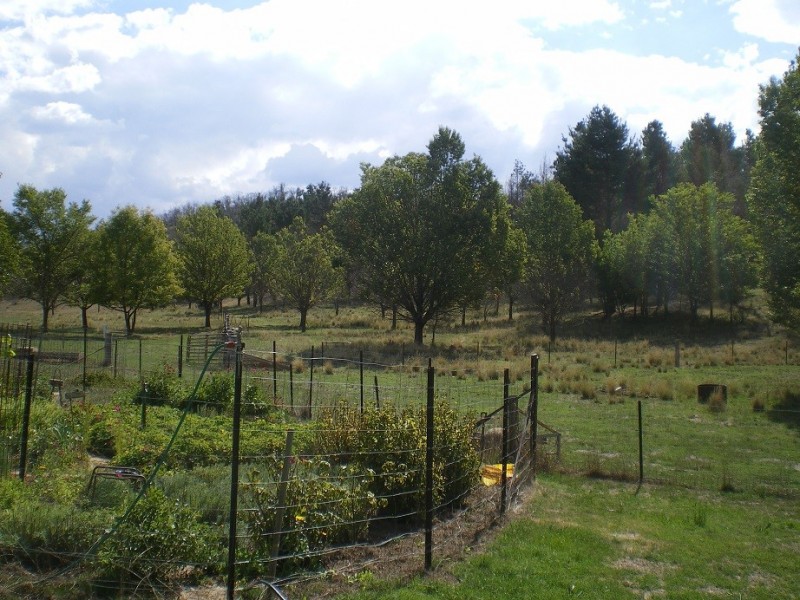 . “Gurubang” Mt Forest Rd, Cooma NSW 2630