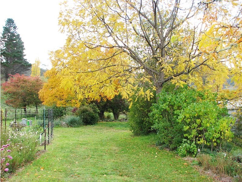 . “Gurubang” Mt Forest Rd, Cooma NSW 2630