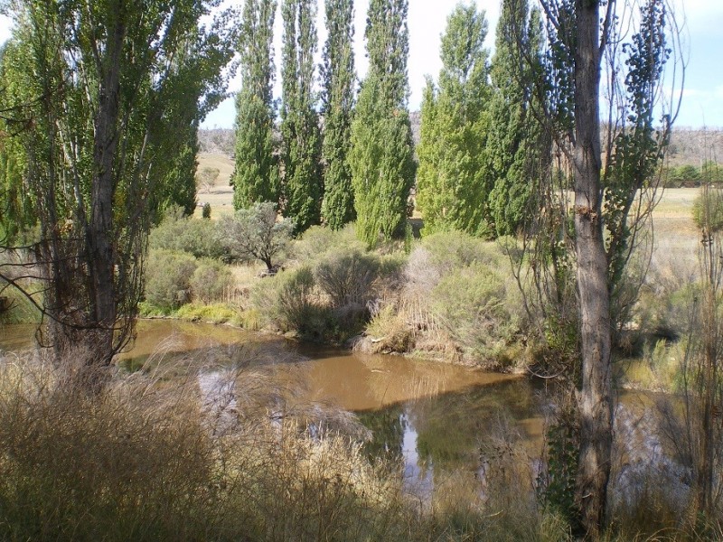 . “Gurubang” Mt Forest Rd, Cooma NSW 2630