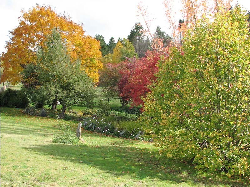 . “Gurubang” Mt Forest Rd, Cooma NSW 2630