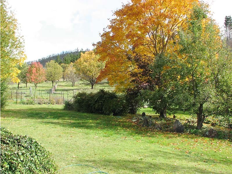 . “Gurubang” Mt Forest Rd, Cooma NSW 2630