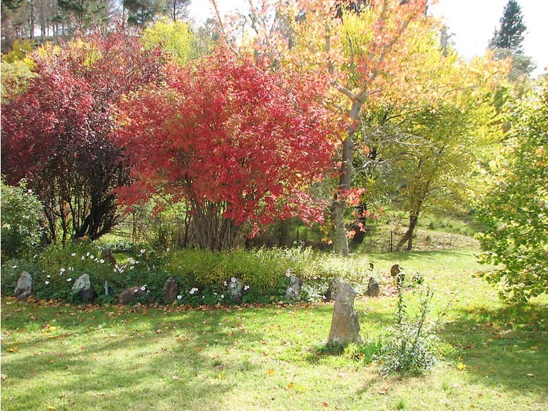 . “Gurubang” Mt Forest Rd, Cooma NSW 2630