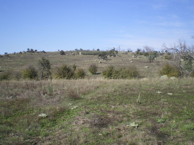 314 Bobundara Rd, Berridale NSW 2628