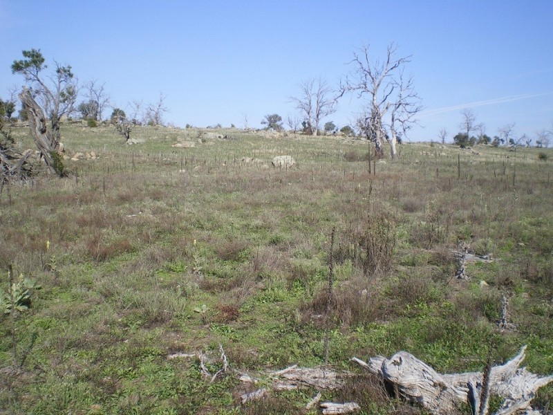 314 Bobundara Rd, Berridale NSW 2628