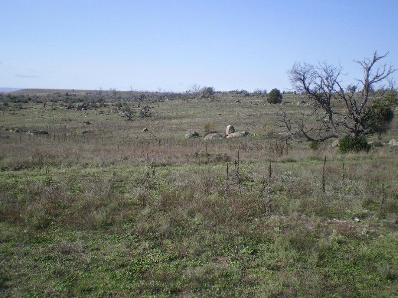 314 Bobundara Rd, Berridale NSW 2628