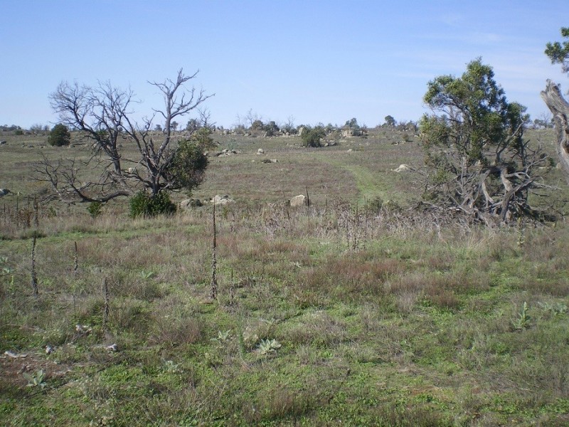 314 Bobundara Rd, Berridale NSW 2628