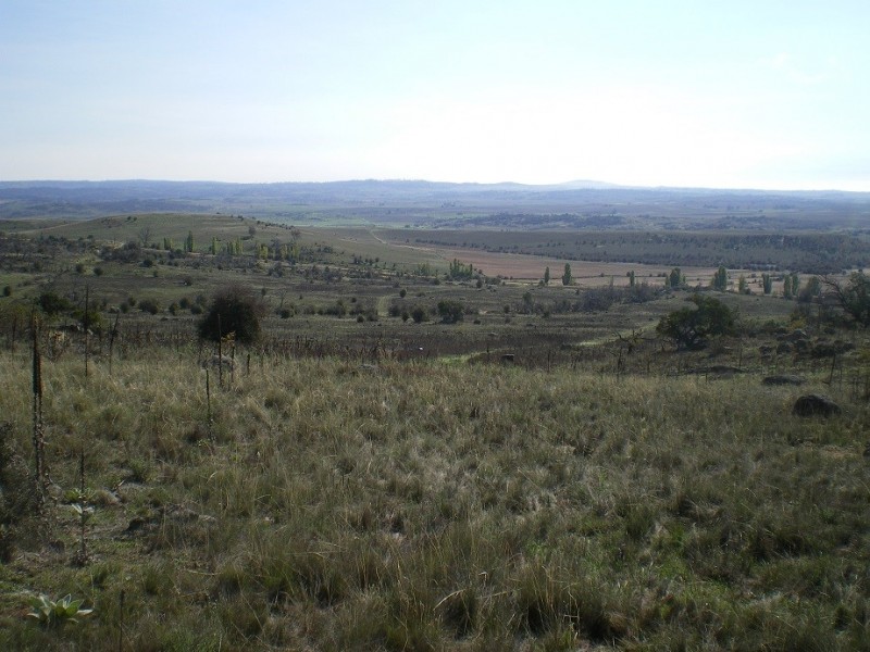 314 Bobundara Rd, Berridale NSW 2628