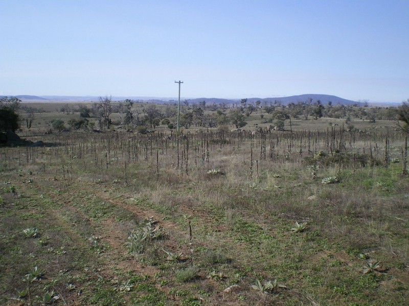 314 Bobundara Rd, Berridale NSW 2628