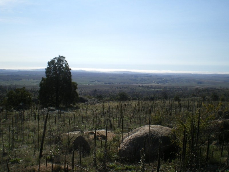 314 Bobundara Rd, Berridale NSW 2628