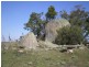 314 Bobundara Rd, Berridale NSW 2628