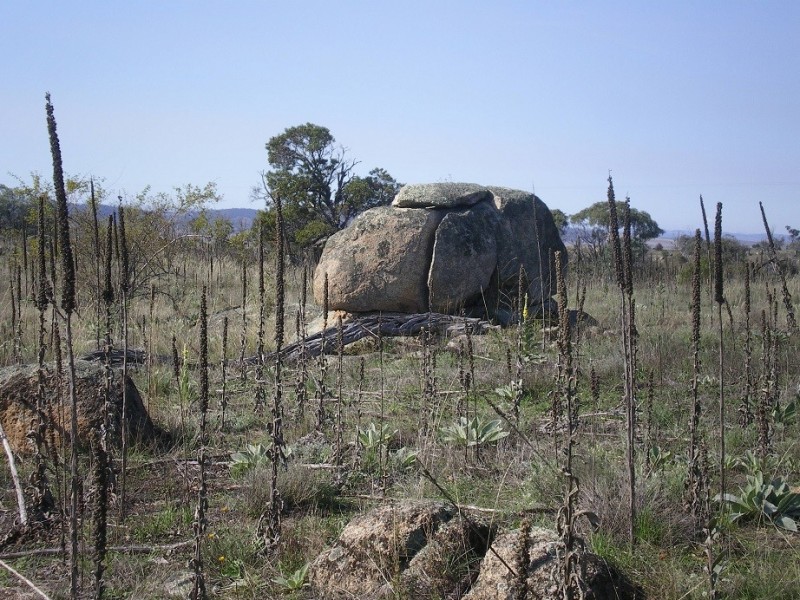 314 Bobundara Rd, Berridale NSW 2628