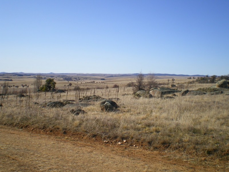 314 Bobundara Rd, Berridale NSW 2628