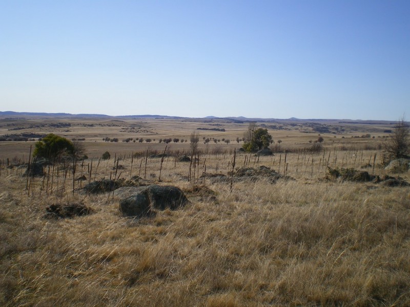 314 Bobundara Rd, Berridale NSW 2628