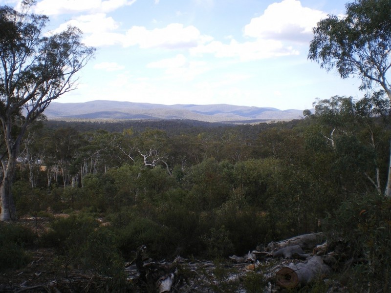 3758 Badja Rd, Countegany NSW 2630