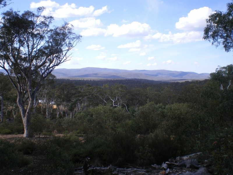 3758 Badja Rd, Countegany NSW 2630