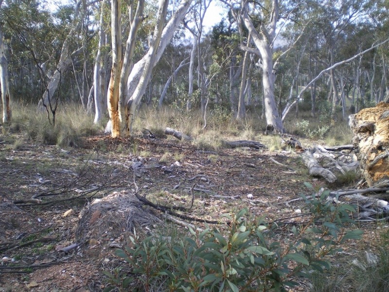 3758 Badja Rd, Countegany NSW 2630