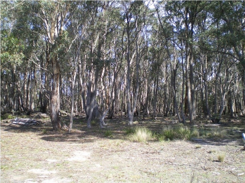 3758 Badja Rd, Countegany NSW 2630