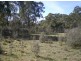 3758 Badja Rd, Countegany NSW 2630