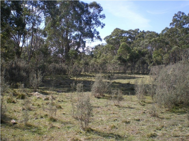 3758 Badja Rd, Countegany NSW 2630