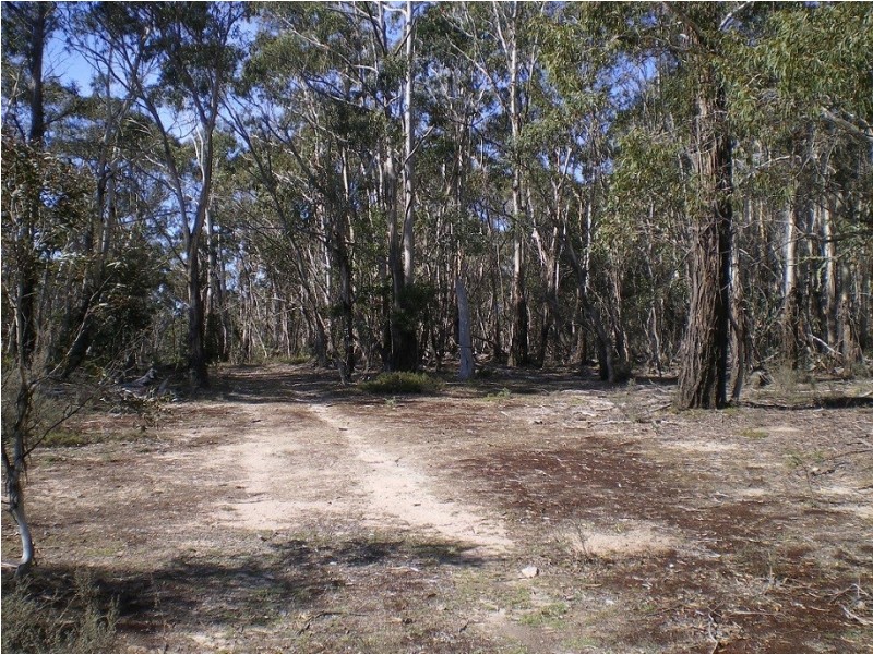 3758 Badja Rd, Countegany NSW 2630