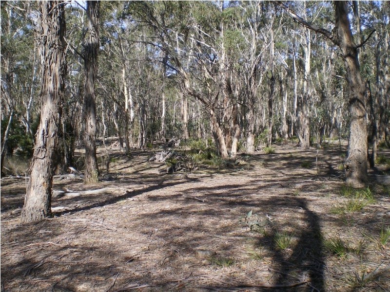 3758 Badja Rd, Countegany NSW 2630