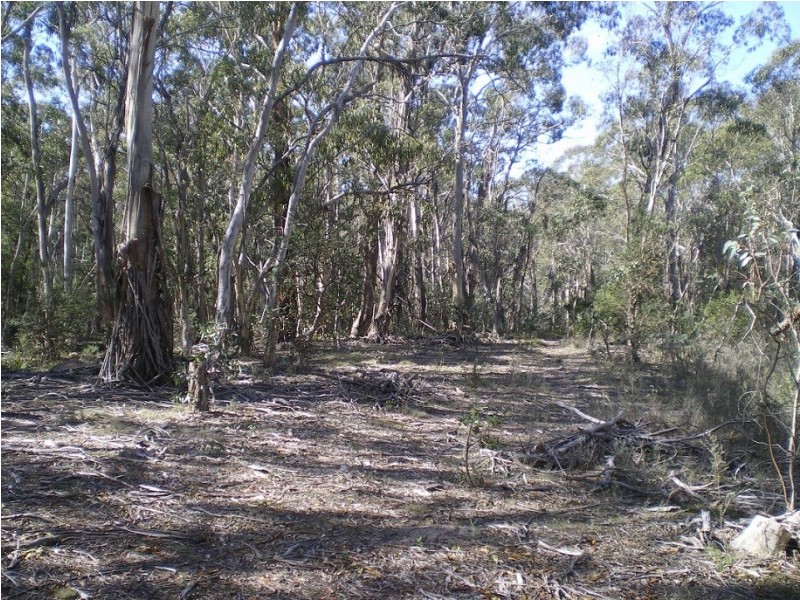 3758 Badja Rd, Countegany NSW 2630