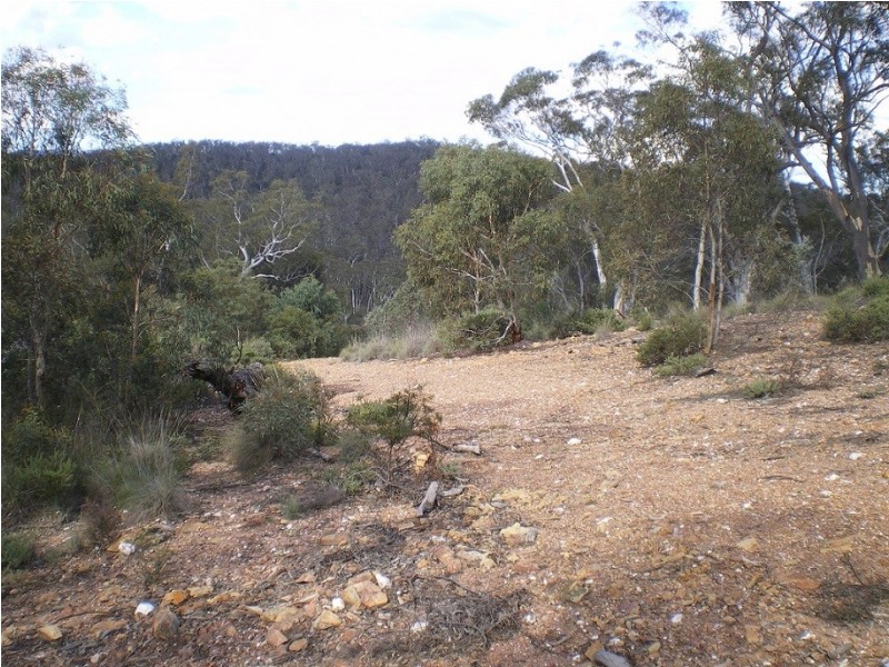 3758 Badja Rd, Countegany NSW 2630