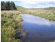 1794 Tom Groggin Rd, Nimmitabel NSW 2631