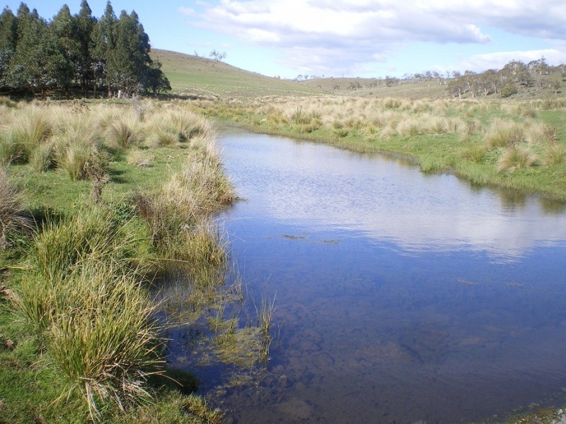 1794 Tom Groggin Rd, Nimmitabel NSW 2631