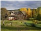 1794 Tom Groggin Rd, Nimmitabel NSW 2631