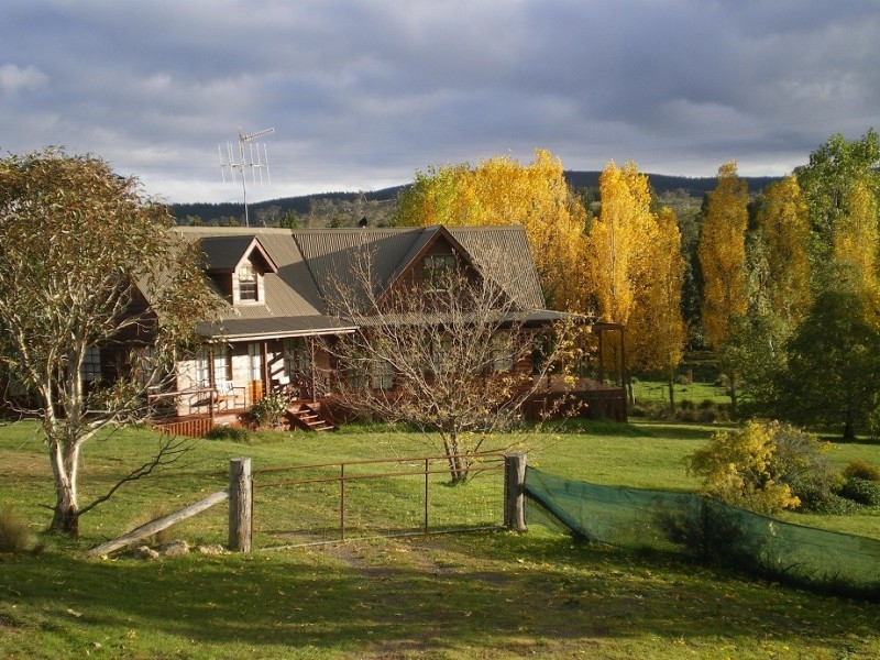 1794 Tom Groggin Rd, Nimmitabel NSW 2631