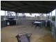 2143 Shannon’s Flat Rd, Cooma NSW 2630
